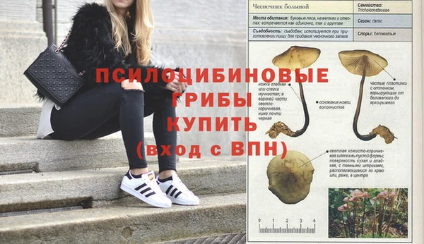 марки nbome Балабаново
