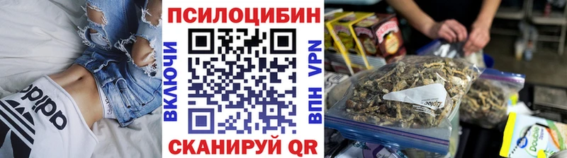 Галлюциногенные грибы Psilocybine cubensis блэк спрут ТОР Короча
